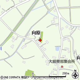 福島県伊達市保原町大柳（向原）周辺の地図