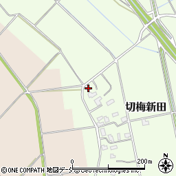 新潟県阿賀野市切梅新田226周辺の地図