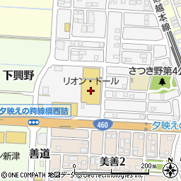 リオン・ドール新津店周辺の地図