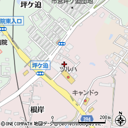 福島県相馬市小泉根岸113-7周辺の地図