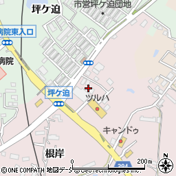 福島県相馬市小泉根岸113周辺の地図