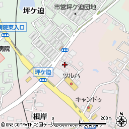 福島県相馬市小泉根岸113-2周辺の地図