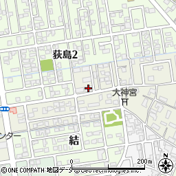 新津田島住宅Ｄ周辺の地図