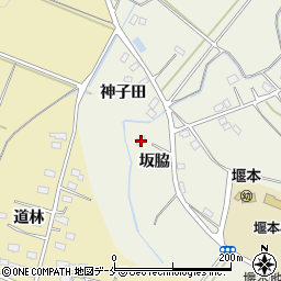 福島県伊達市梁川町新田坂脇14周辺の地図