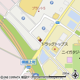 タイヤ館ＧＰ新潟横越周辺の地図