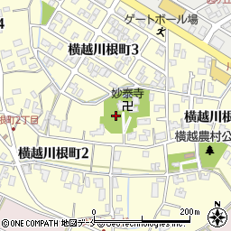 新潟県新潟市江南区横越川根町周辺の地図