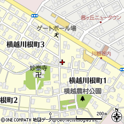 新潟県新潟市江南区横越川根町3丁目1-28周辺の地図