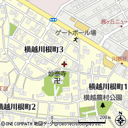 新潟県新潟市江南区横越川根町3丁目2-10周辺の地図