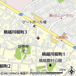 新潟県新潟市江南区横越川根町3丁目1-31周辺の地図