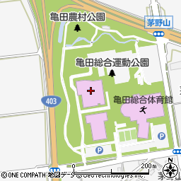 新潟市立亀田図書館周辺の地図