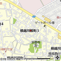 新潟県新潟市江南区横越川根町3丁目6-21周辺の地図