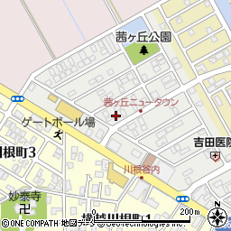 桜井カメラ周辺の地図