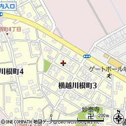 新潟県新潟市江南区横越川根町3丁目12-11周辺の地図