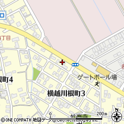 新潟県新潟市江南区横越川根町3丁目13周辺の地図