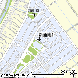 新潟県新潟市西区新通南周辺の地図
