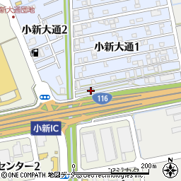 新潟県新潟市西区小新大通1丁目11-37周辺の地図
