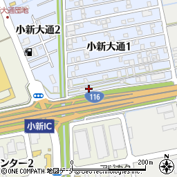 新潟県新潟市西区小新大通1丁目11-40周辺の地図