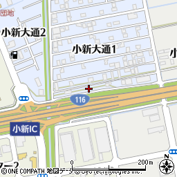新潟県新潟市西区小新大通1丁目11-45周辺の地図