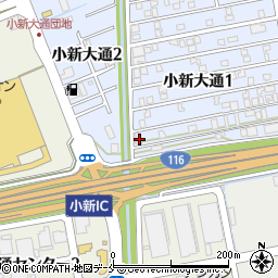 新潟県新潟市西区小新大通1丁目10-33周辺の地図