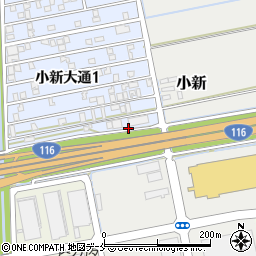 新潟県新潟市西区小新大通1丁目11周辺の地図