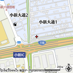 新潟県新潟市西区小新大通1丁目10-38周辺の地図