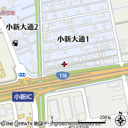 新潟県新潟市西区小新大通1丁目10-24周辺の地図