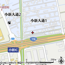 新潟県新潟市西区小新大通1丁目10-41周辺の地図