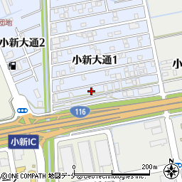 新潟県新潟市西区小新大通1丁目10-46周辺の地図