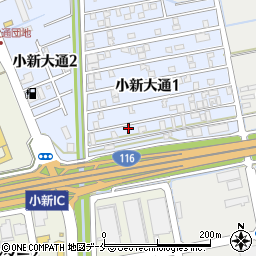 新潟県新潟市西区小新大通1丁目10-43周辺の地図