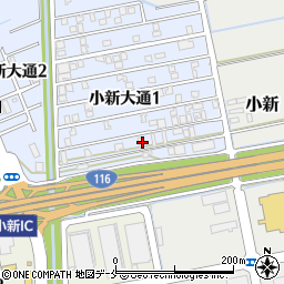 新潟県新潟市西区小新大通1丁目10周辺の地図