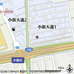 新潟県新潟市西区小新大通1丁目9-28周辺の地図