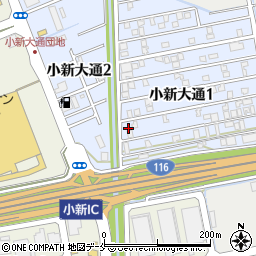 新潟県新潟市西区小新大通1丁目9-35周辺の地図