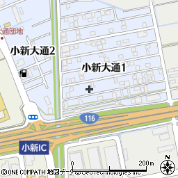 新潟県新潟市西区小新大通1丁目9-25周辺の地図