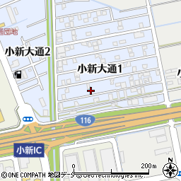 新潟県新潟市西区小新大通1丁目9-24周辺の地図