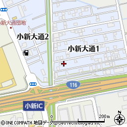新潟県新潟市西区小新大通1丁目9-40周辺の地図