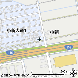 新潟県新潟市西区小新大通1丁目10-6周辺の地図
