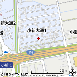 新潟県新潟市西区小新大通1丁目9-20周辺の地図