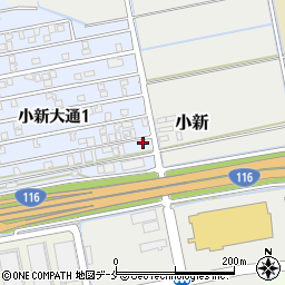 新潟県新潟市西区小新大通1丁目10-62周辺の地図