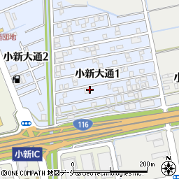 新潟県新潟市西区小新大通1丁目9-47周辺の地図