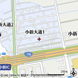 新潟県新潟市西区小新大通1丁目9周辺の地図