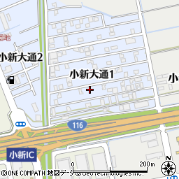 新潟県新潟市西区小新大通1丁目9-48周辺の地図