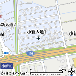 新潟県新潟市西区小新大通1丁目9-50周辺の地図