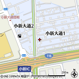 新潟県新潟市西区小新大通1丁目8-30周辺の地図