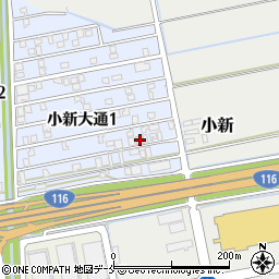 新潟県新潟市西区小新大通1丁目9-12周辺の地図