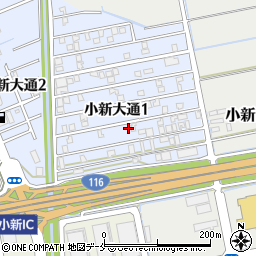 新潟県新潟市西区小新大通1丁目9-51周辺の地図