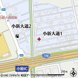 新潟県新潟市西区小新大通1丁目8-29周辺の地図