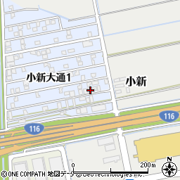 新潟県新潟市西区小新大通1丁目9-10周辺の地図