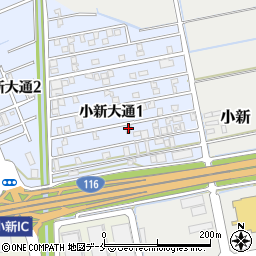 新潟県新潟市西区小新大通1丁目9-52周辺の地図