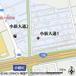 新潟県新潟市西区小新大通1丁目8-27周辺の地図