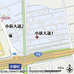 新潟県新潟市西区小新大通1丁目8-25周辺の地図